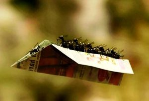Τοσοδούλικα-Η κοιλάδα των χαμένων μυρμηγκιών 2 - Αντίγραφο