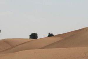 Σαφάρι στην Αραβική Έρημο