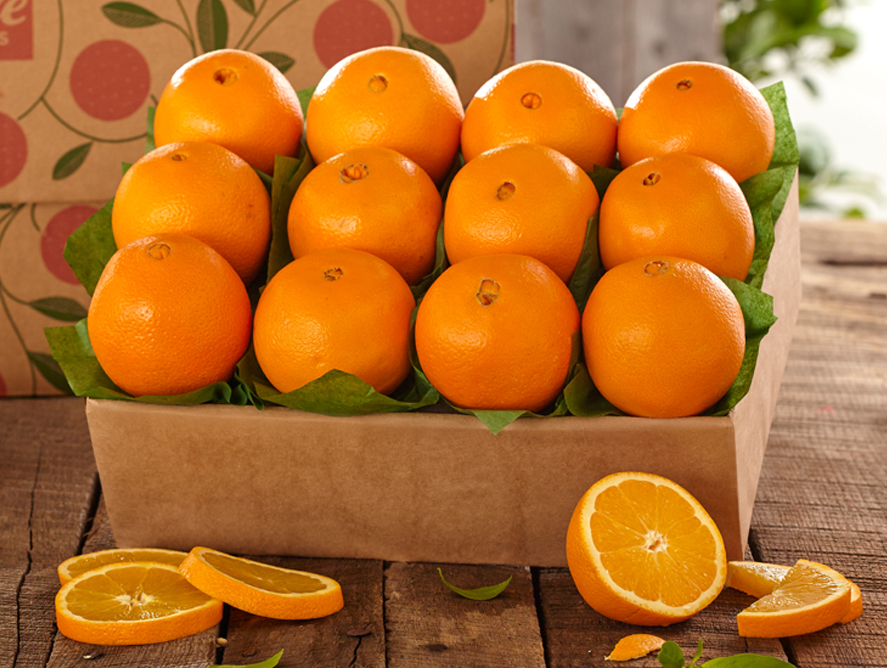 1n-navel-oranges-for-sale-online_04