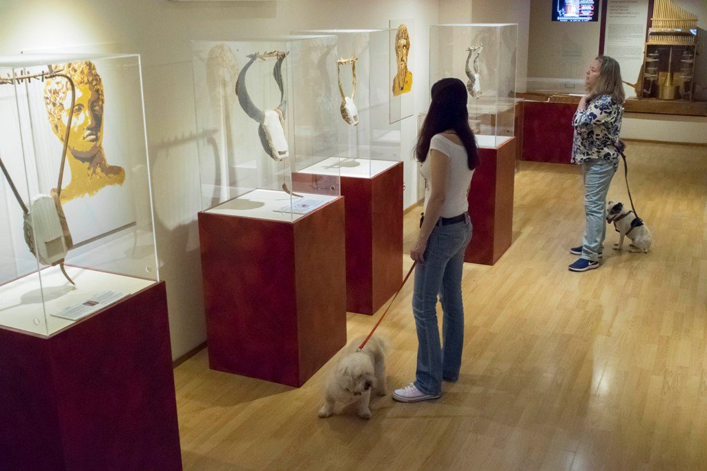 2. 'Ενα pet-friendly Μουσείο στην Αθήνα