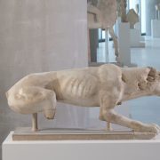 Καλοκαίρι παρέα με τα ζώα του Μουσείου Ακρόπολης