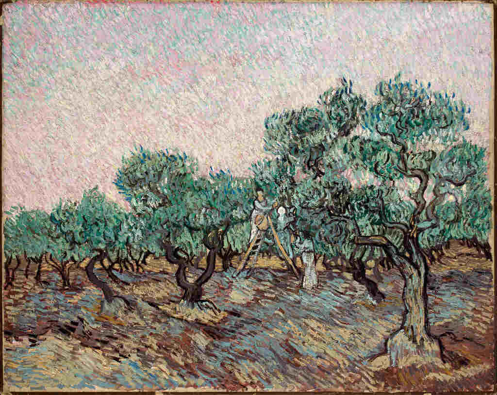 Vincent van Gogh (1853-1890) La cueillette des olives Η συγκομιδή της ελιάς Olive Picking Δεκέμβριος 1889 | December 1889 Λάδι σε καμβά | Oil on canvas 73.5 × 92.5 cm 